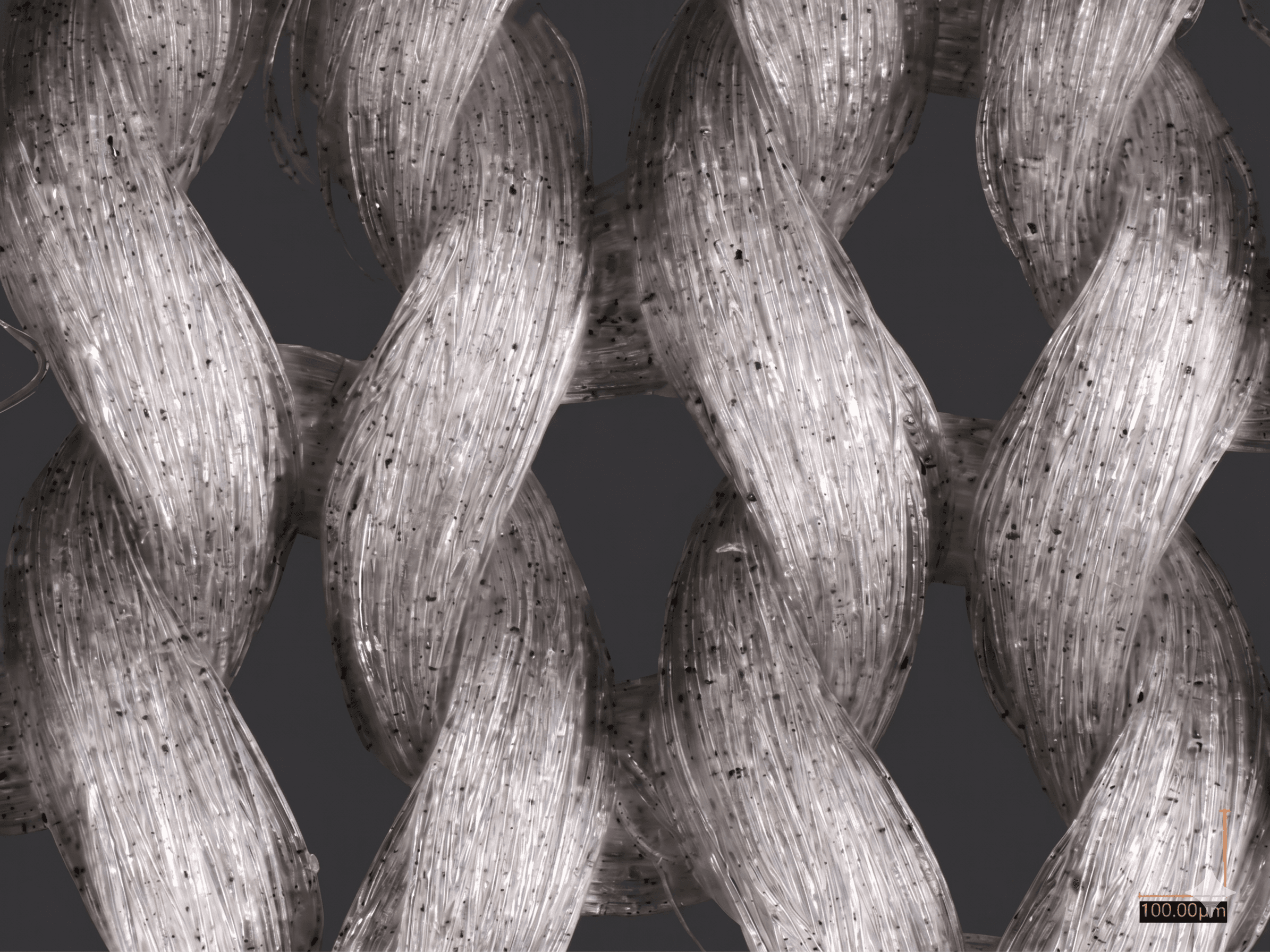 Inside the Fiber#2: The Hidden Architecture of Function